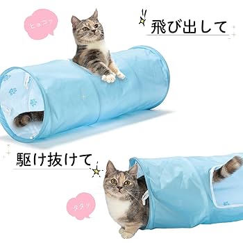 Amazon.co.jp: 猫壱 (necoichi) キャットトンネル (ブルー